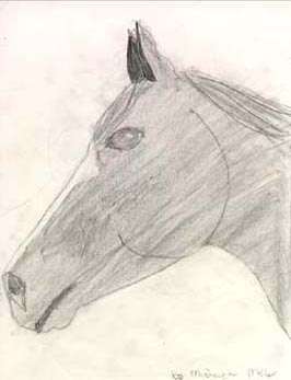 A Horse